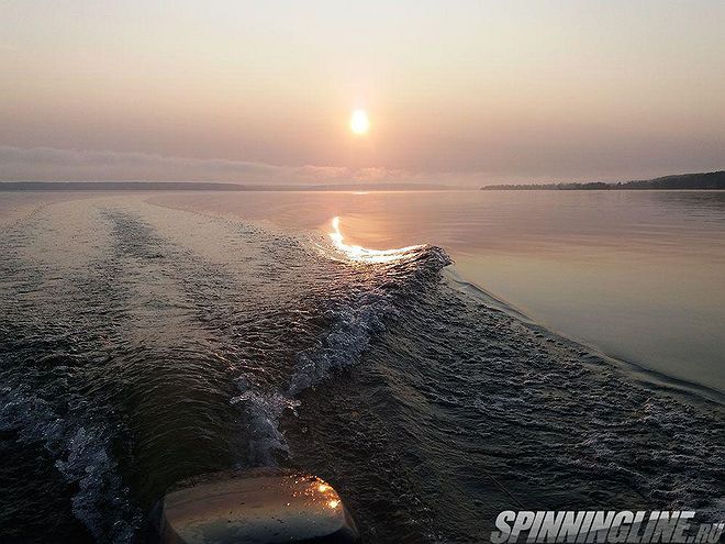 Изображение 1 : Окуни выручают