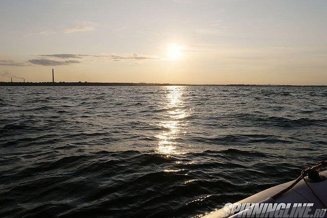 Изображение 1 : Окуни выручают