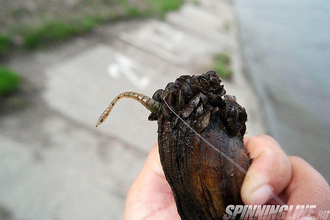 Изображение 7 : Дамба. Работа над ошибками