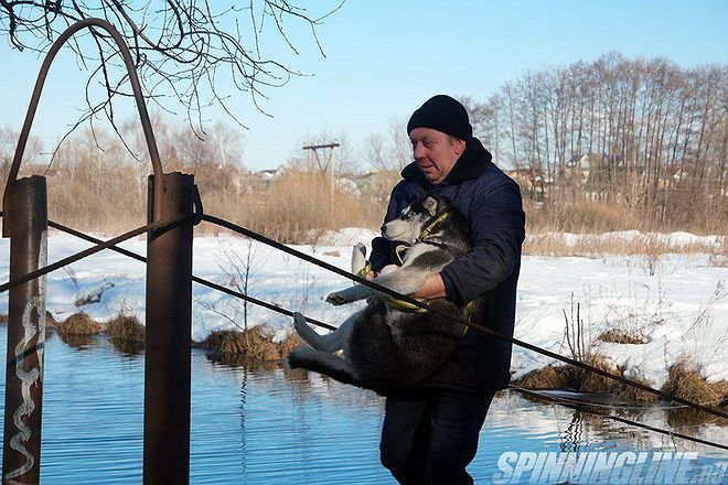 Изображение 8 : Танки в городе. Рыбалка на 23 февраля!